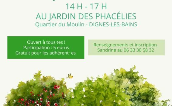 Affiche de l'atelier 'La taille douce des arbres', organisé par l'association À Fleur de Pierre à Digne-les-Bains, mettant en avant une approche écologique de l’entretien des arbres fruitiers.
